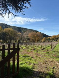 Domaine de la Malière - 5