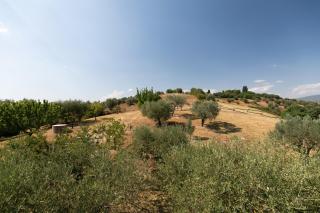 Tenuta Colle Sala The Villa - 5