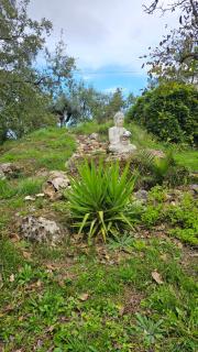 Quinta Cabecinha - 2