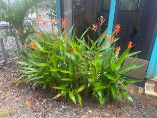 Cozy budget friendly stay - 9