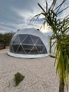 Olive Dome, Luxury Glamping Dome in Crete - 1