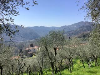 Ellera Suite two room- Historic Barn Retreat in Tuscany Olive Grove - 1