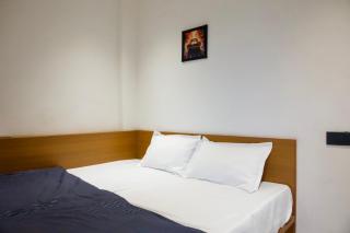 1BHK apartment with penthouse Vijay Nagar - 8