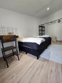 Beau T2 entier et rénové hyper centre Foix wifi offert - 1