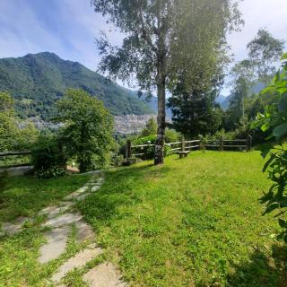 La Casa nel Bosco - Your Mountain Holiday - Casargo - 9