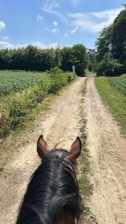 L'Agolum - B&B Baisy-Thy - 2