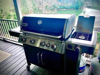 HGTV style on LAKE-Kayaks/Fire pit/Dock/DEEP H2O - 4