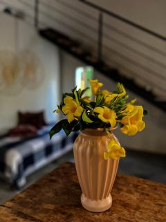 Girassóis do Vale - Chalés no Vale do Capão - 2