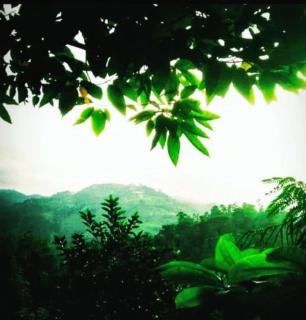 Ella Hushwood - Ella - 0