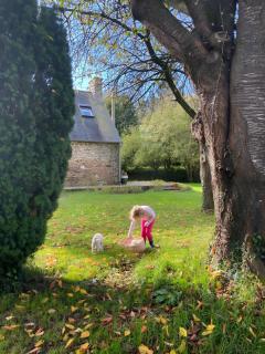 Gîte De La Ferme Du Tilleul - 5
