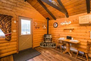 The Mustang Cabin - Bear Creek Cabins - 9