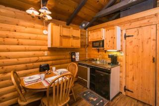 The White Tail Cabin - Bear Creek Cabins - 4