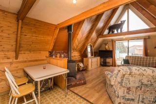 The Papa Bear Cabin - Bear Creek Cabins - 5