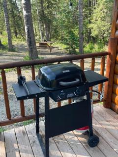 The Sheep Camp cabin- Bear Creek Cabins - 4