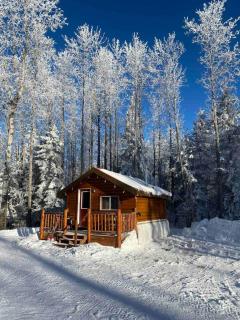 The Sheep Camp cabin- Bear Creek Cabins - 5