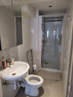 Typical flat Grand Place - 4