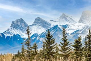 Family-Friendly Budget Townhouse - 9