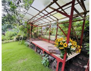 Tipi Miramelinda - 2