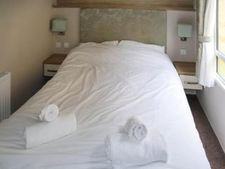 Birch 2 - Ukc8215 - 4