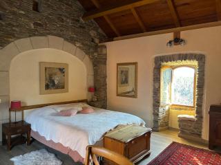 Nice gite Hamlet of Meyrières Farm in Cévennes - 5