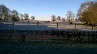 Le Chalet de Seb - 3