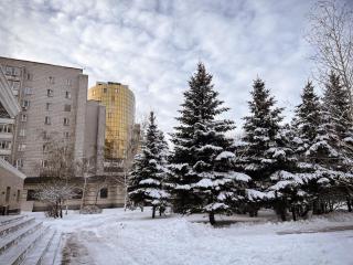 Уютная студия в скандинавском стиле в центре - 5