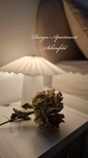 Design-Appartement-Schoenfeld - 2