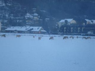 location saisonniere à la montagne - 1