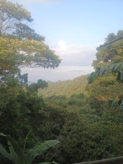 PosadaManduka Eco-Hostel - 5