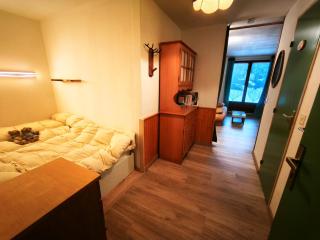 Appartement en rez-de-jardin à 300m des pistes - 3