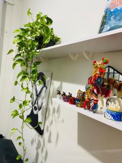 Apartamento Confortável no Centro de Cidade Nova, ao lado da Praça São Francisco - 9