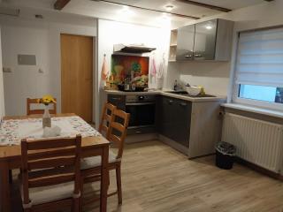 Talblick & Ruhe in Hirschhorn Langenthal - Hirschhorn - 2