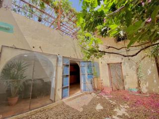 Yellow House on the Nile - 4