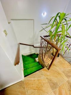 Yellow House on the Nile - 8