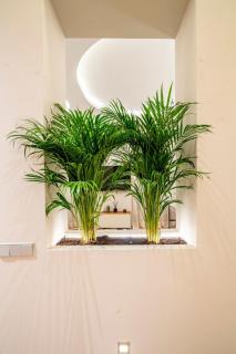 R14 –Deluxe Style Trendiest location in Malasaña - 7