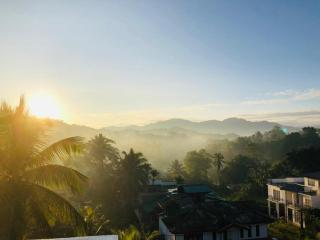 Araliya Enchanted Evergreen - 8