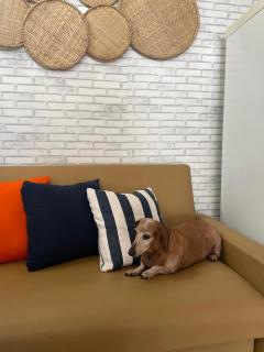 Chalé Pé na Areia São Bento Beach Maragogi - 3