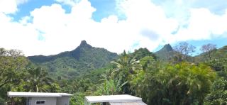 Ocean Beach Town View - Pool With Amazing Views! - 5