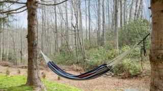 Bear’s Place by AvantStay Cozy Mountain Cabin in Brevard Firepit - 3