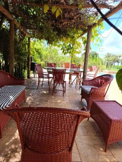 Ananda Multiverse Evolve 15' from the Botanical Garden - 0