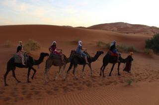 Erg Chebbi Luxury Glamping - 4