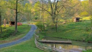 Charming Blue Ridge Cabin Private Pond and Waterfall Deer Haven by AvantStay - 2