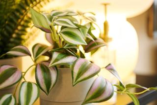 Liberte Nakajima Park - Vacation STAY 19153 - 7