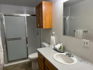 Cozy 2BR 1BA kitchen patio 20min to WSU - 4