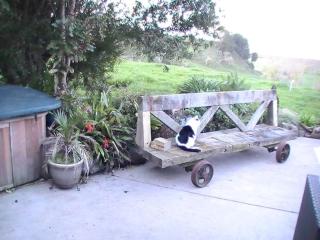 Miranda Sea View Apartment - Miranda - 1