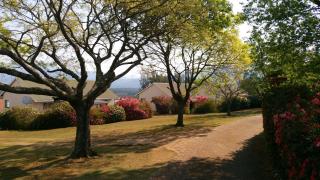 Kloofsig Holiday Cottages - 3
