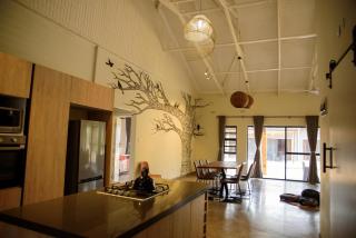 Stonechat kine unit - 9