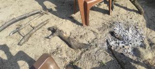 Hanyaa Hunterzz-hunt the wild - 2