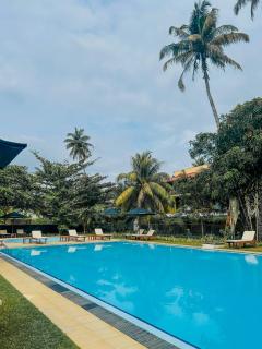 Surfing Elephant Resort & Poshtel - 5