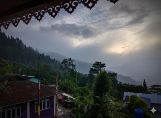 Mountain Pine Vista By ZIVO Homestay - 4